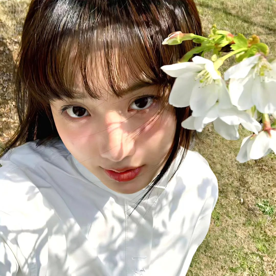 灵书妙探第四季